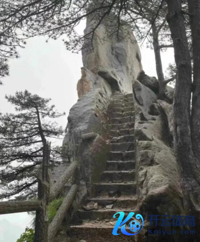 黄山惬心区通报雷击情况 1名旅客转院，其余已离院