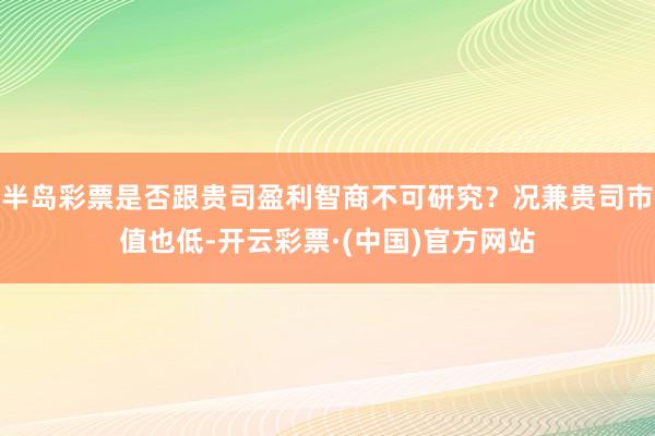 半岛彩票是否跟贵司盈利智商不可研究？况兼贵司市值也低-开云彩票·(中国)官方网站